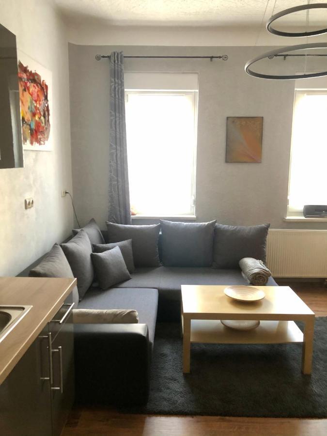Delux Ferienwohnung Kunstgalerie Und Ilmradweg Kranichfeld Exterior foto